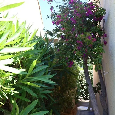 Bord De Avec Piscine Nyaraló